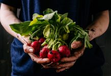 Das Pflanzen von Gemüse und Sommerblumen