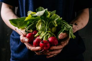 Das Pflanzen von Gemüse und Sommerblumen
