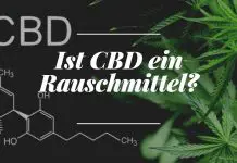 Ist CBD ein Rauschmittel? Ist CBD ein Rauschmittel?
