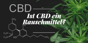 Ist CBD ein Rauschmittel?