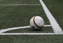 Das ist der Fußball-Rasen der Zukunft