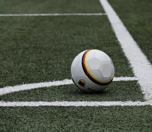 Das ist der Fußball-Rasen der Zukunft
