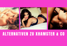 Alternativen zu Xhamster, Pornhub, Youporn & co – 2023