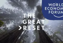 Was ist der Great Reset und wer steht dahinter?